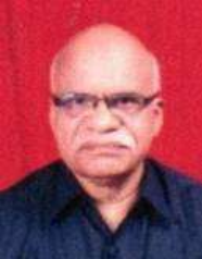 इंजि. म. कि. पोकले 